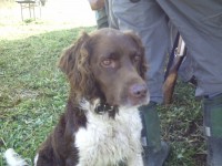 /album/fotogalerie/pict0044-jpg/